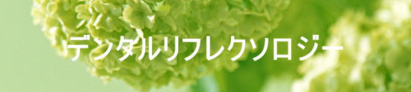 デンタルリフレクソロジー　モバイル版