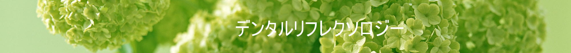 デンタルリフレクソロジー