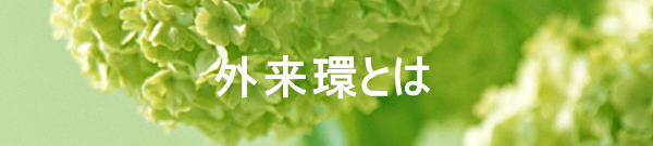 外来環とは