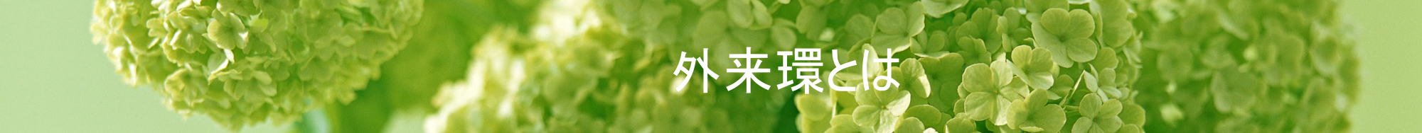 外来環とは