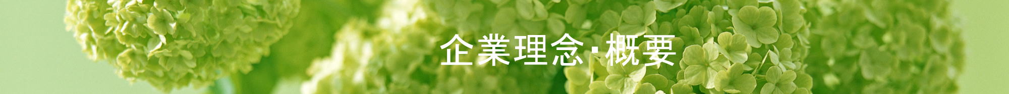 理念・概要