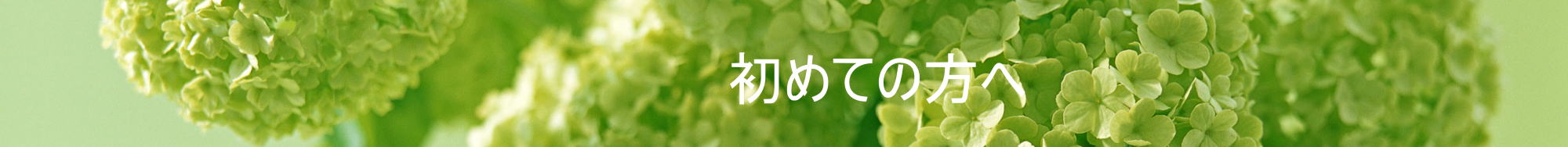 初めての方へ