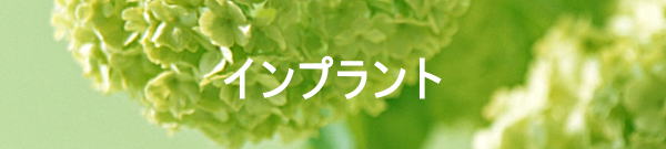 インプラント　モバイル版