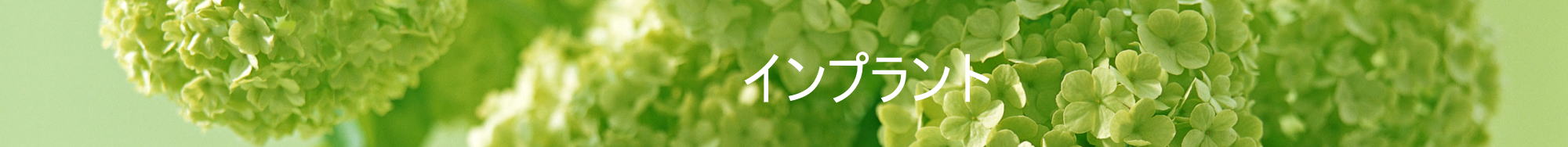 インプラント