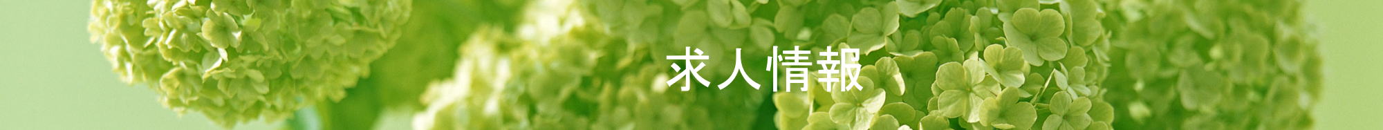 歯科衛生士求人情報