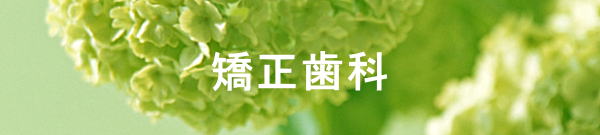 矯正歯科　モバイル版