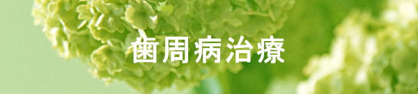 歯周病治療　モバイル版