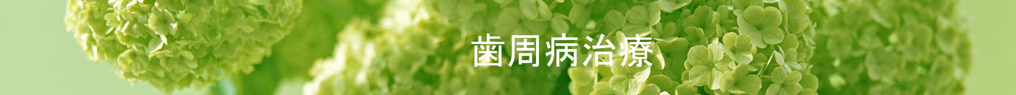 歯周病治療　歯槽膿漏治療