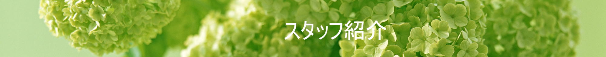 スタッフ紹介