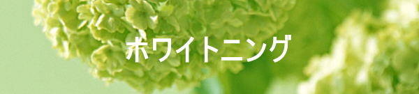 ホワイトニング　モバイル版