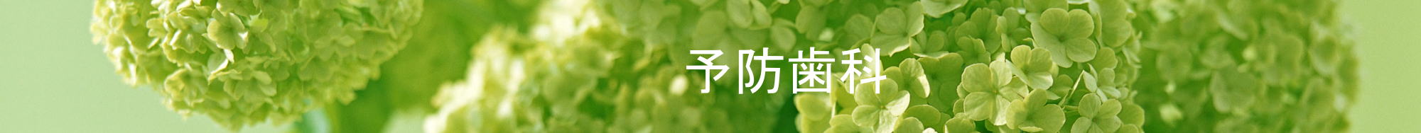 予防歯科